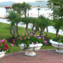 фото из отзыва ID 1234365