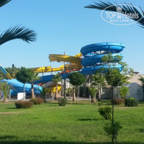 фото из отзыва ID 1234390