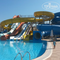 фото из отзыва ID 1234390