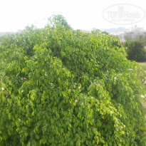 фото из отзыва ID 1234444