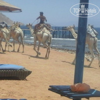 фото из отзыва ID 1234476