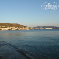 фото из отзыва ID 1234184