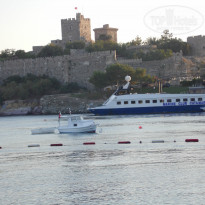 фото из отзыва ID 1234184