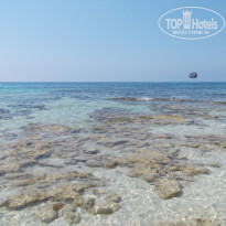 фото из отзыва ID 1234554