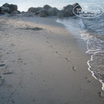 фото из отзыва ID 1234581