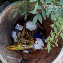 фото из отзыва ID 1234633