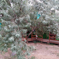 фото из отзыва ID 1234633