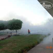 фото из отзыва ID 1233075