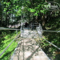 фото из отзыва ID 1234750