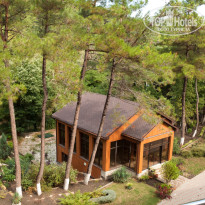 фото из отзыва ID 1234770