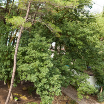 фото из отзыва ID 1234770