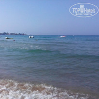 фото из отзыва ID 1234786