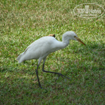 фото из отзыва ID 1234799