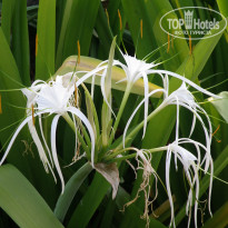 фото из отзыва ID 1234799