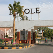 фото из отзыва ID 1234833