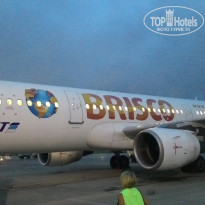 фото из отзыва ID 1234869