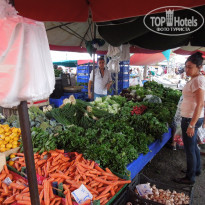 фото из отзыва ID 1235138