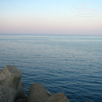 фото из отзыва ID 1234365