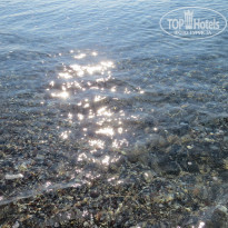 фото из отзыва ID 1235411