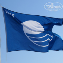 фото из отзыва ID 1235411