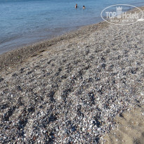 фото из отзыва ID 1235411