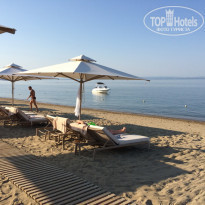 фото из отзыва ID 1235569