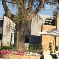 фото из отзыва ID 1235569