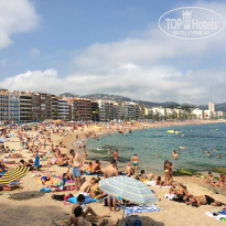 фото из отзыва ID 1235599