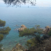 фото из отзыва ID 1235599