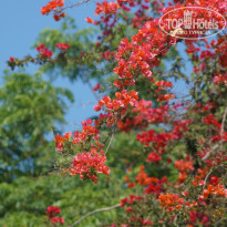 фото из отзыва ID 1235659