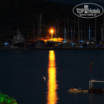 фото из отзыва ID 1235659