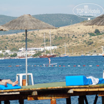 фото из отзыва ID 1235659