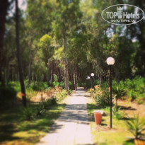 фото из отзыва ID 1235665