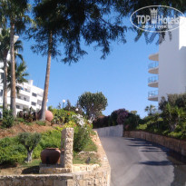 фото из отзыва ID 1235693