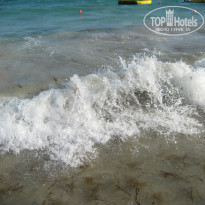 фото из отзыва ID 1235693