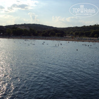 фото из отзыва ID 1235793