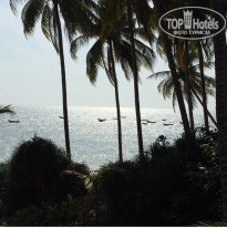 фото из отзыва ID 1235939