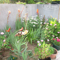 фото из отзыва ID 1235947