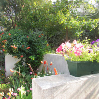 фото из отзыва ID 1235947