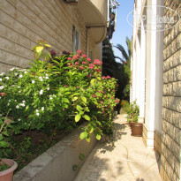 фото из отзыва ID 1235947