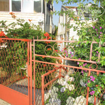 фото из отзыва ID 1235947