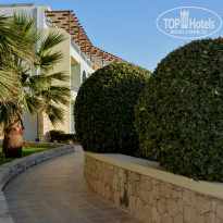 фото из отзыва ID 1235999