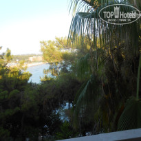 фото из отзыва ID 1236046