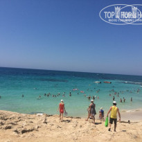 фото из отзыва ID 1236055