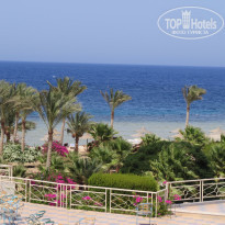 фото из отзыва ID 1236091