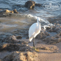 фото из отзыва ID 1236155