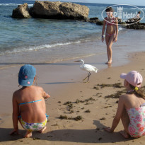 фото из отзыва ID 1236155