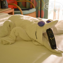 фото из отзыва ID 1236145