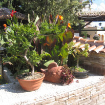 фото из отзыва ID 1236263