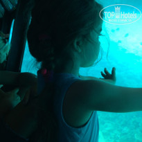 фото из отзыва ID 1232495